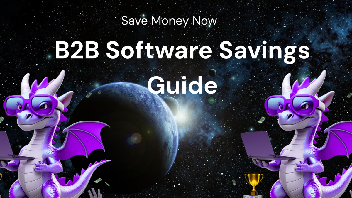 Guide to Saving Money on B2B Software